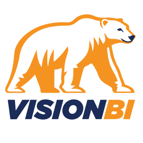 Vision BI logo
